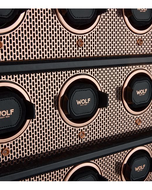 Wolf Black Axis 12-Piece Watch Winder Cabinet