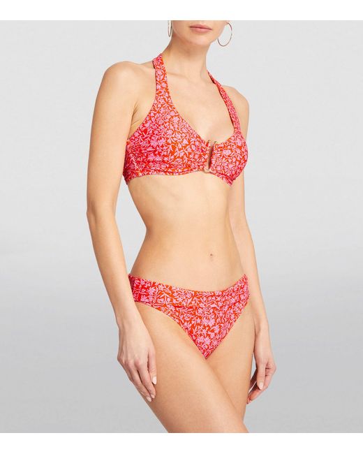 Heidi Klein Red Floral Limpopo Bikini Top