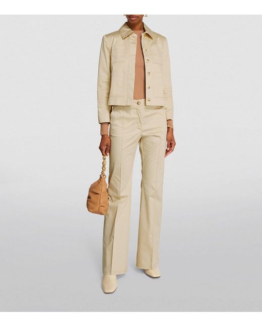 MAX&Co. Natural Stretch-cotton Jacket