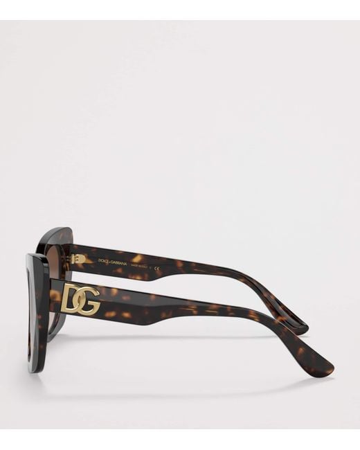 Dolce & Gabbana Brown Acetate Butterfly Sunglasses
