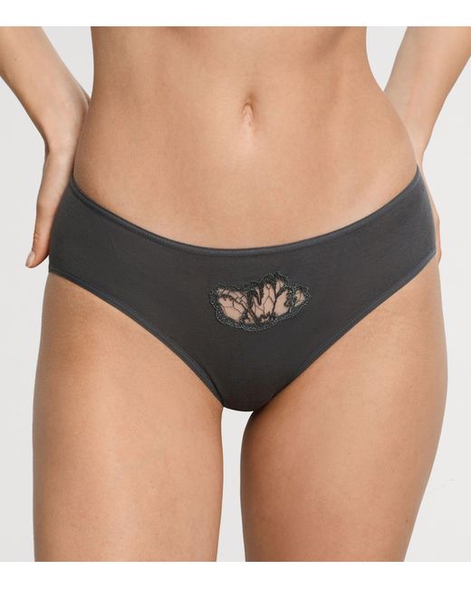 Hanro Gray Cotton Belen Midi Briefs