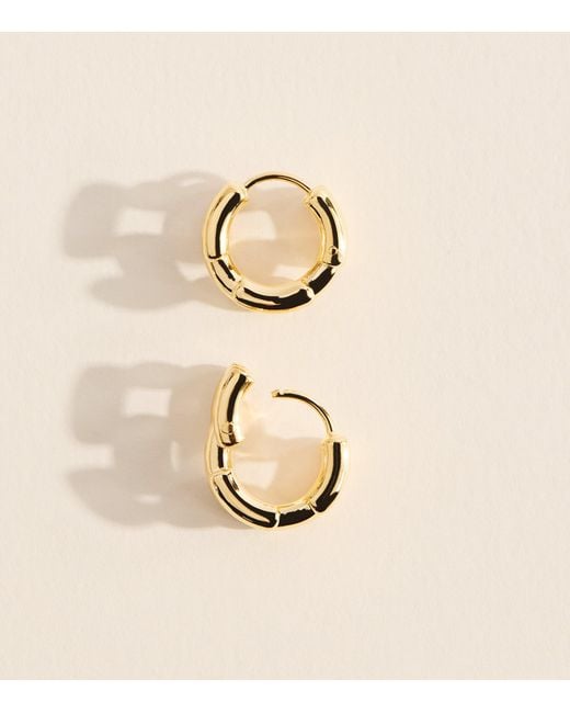 LIE STUDIO Metallic Plated The Johanna Earrings