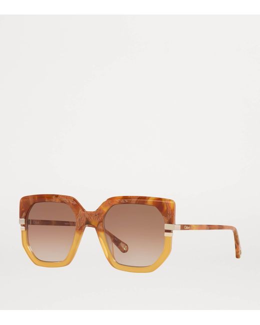 Chloé Brown Acetate Ch0240S Sunglasses