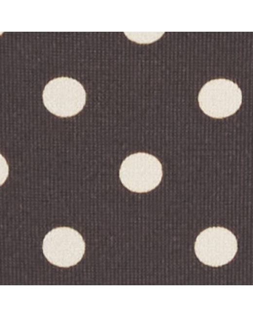 Matteau Brown The String Polka Dot Bikini Bottoms