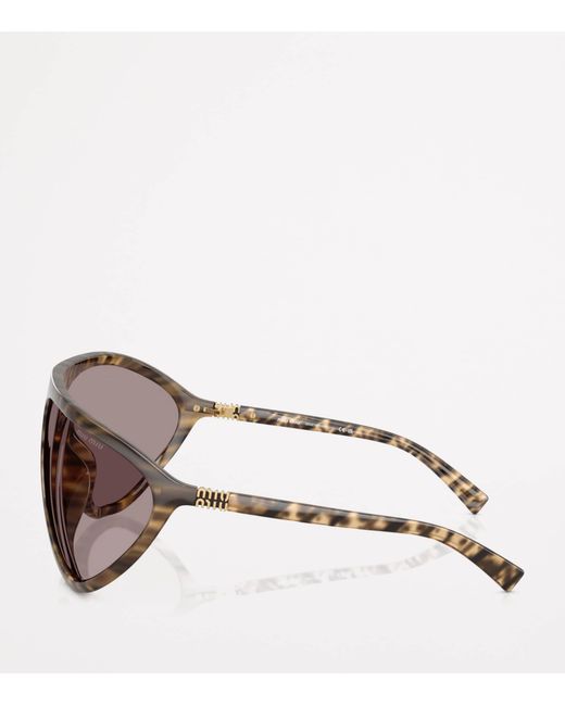 Miu Miu Brown Injected Aviator Sunglasses