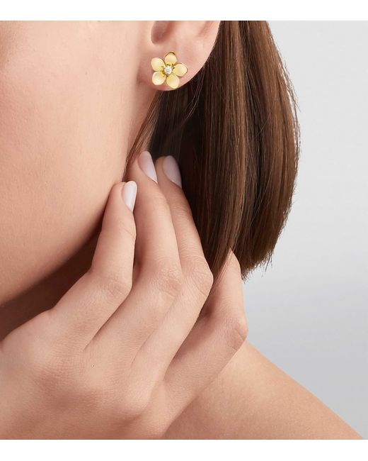 Graff Metallic Mini And Diamond Wild Flower Earrings
