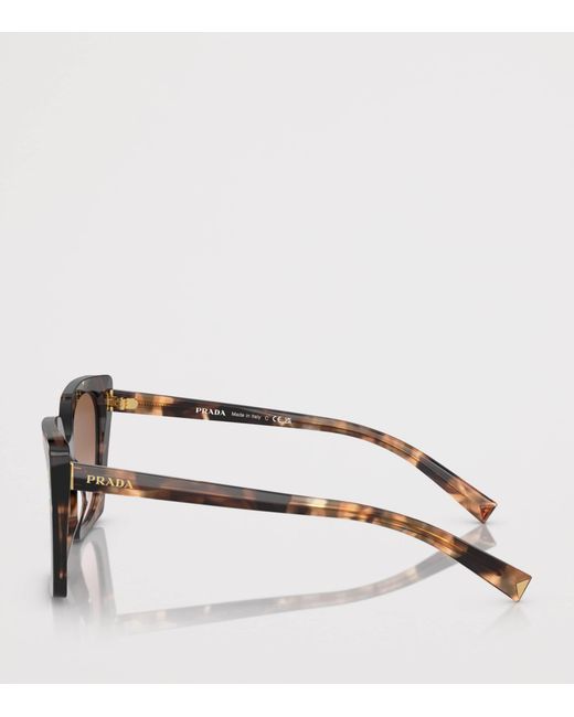 Prada Brown Square Sunglasses