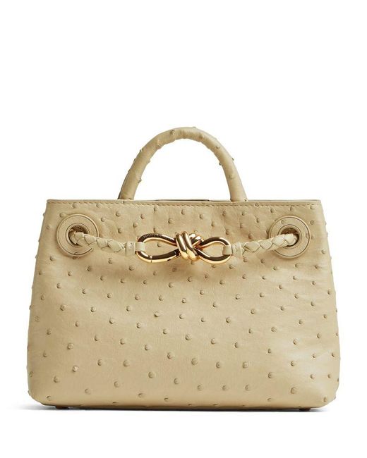 Bottega Veneta Metallic Mini Ostrich-Effect Andiamo Shoulder Bag