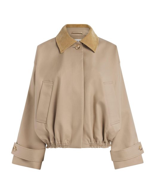 Rohe Natural Cotton Suede-Collar Bomber Jacket