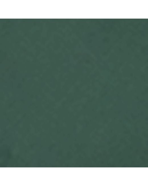 Rixo Green Lysandra Maxi Dress