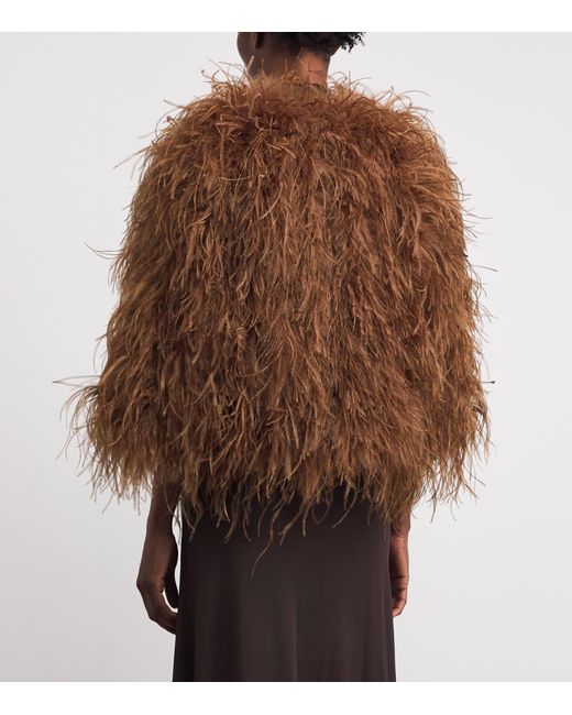 Yves Salomon Brown Ostrich Feather Jacket