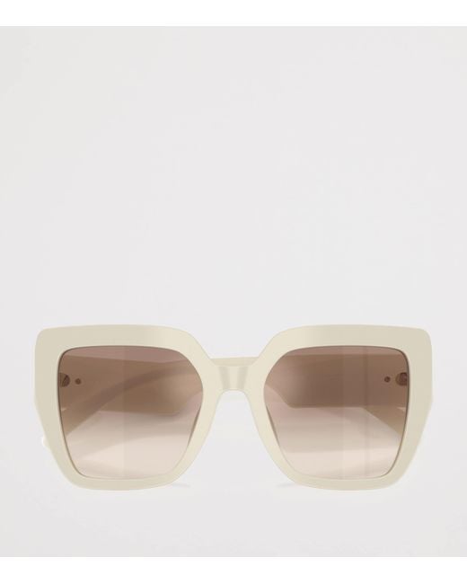 Dolce & Gabbana Natural Square Sunglasses