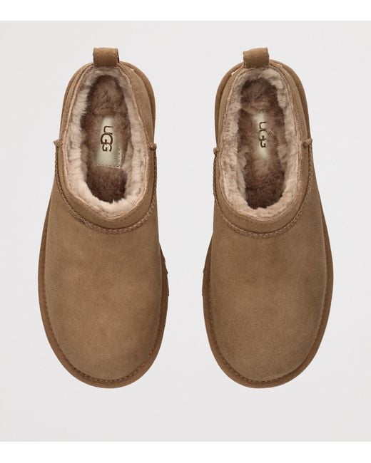 Ugg Brown Suede Classic Micro Boots