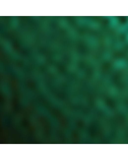 Bottega Veneta Green Lambskin Intrecciato Dog Charm