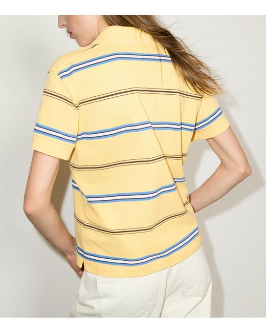 MAX&Co. Yellow Cotton Embroidered Polo Shirt