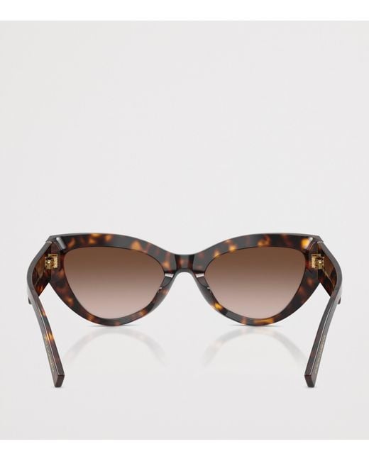 Dolce & Gabbana Brown Tortoiseshell Cat-Eye Sunglasses