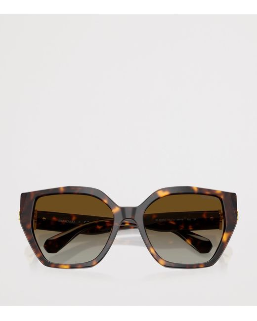Swarovski Brown Sk6044U Irregular Sunglasses
