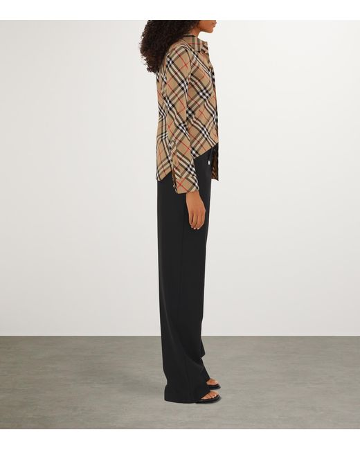 Burberry Brown Shirts