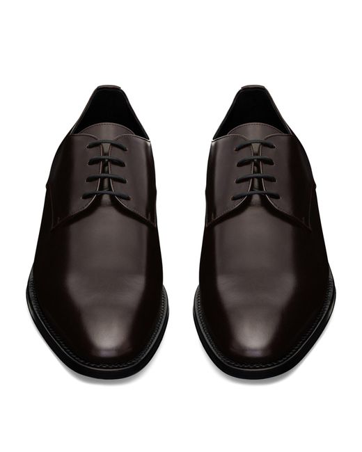 Saint Laurent Brown Leather Adrien Derby Shoes for men