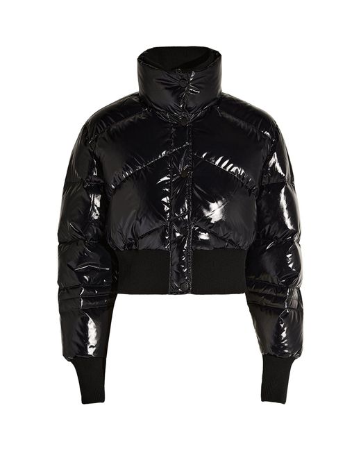 AllSaints Cropped Navie Puffer Jacket in Black | Lyst