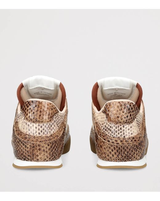 Chloé Brown Snake-Embossed Leather Kick Sneakers