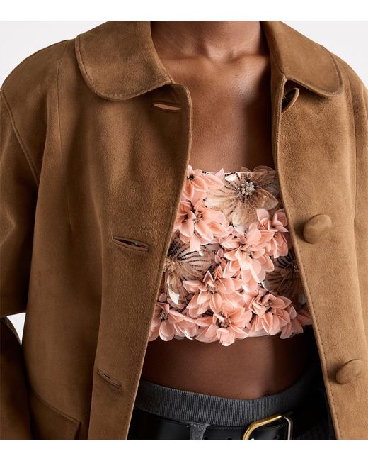 Prada Brown Suede Collared Jacket