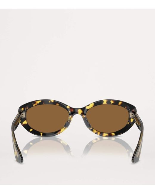 Oliver Peoples Brown Acetate 1969C Sunglasses