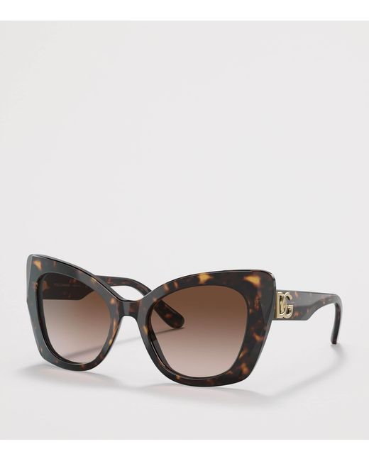Dolce & Gabbana Brown Acetate Butterfly Sunglasses