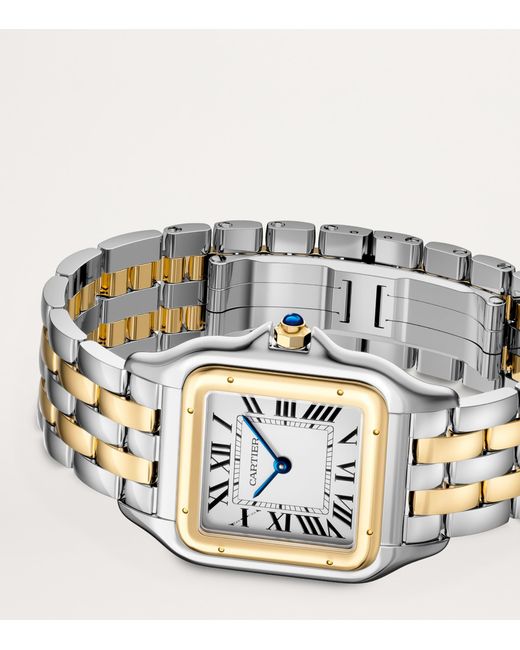 Cartier Metallic And Stainless Steel Panthère De Watch for men