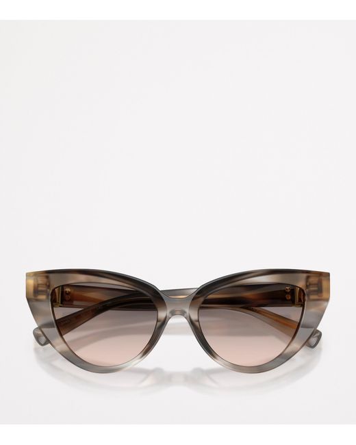 Dolce & Gabbana Brown Cat Eye Sunglasses
