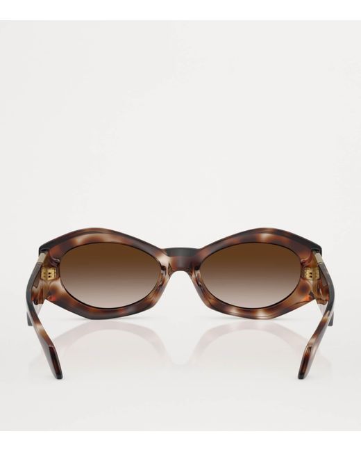 Versace Brown Injected 0Ve4466U Sunglasses