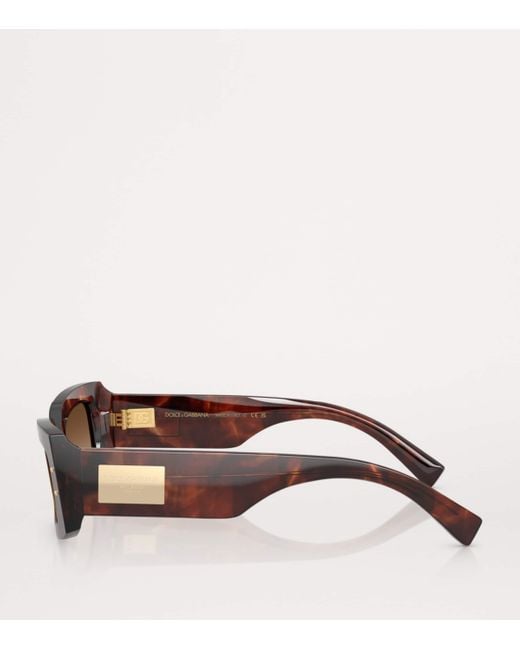Dolce & Gabbana Brown Acetate Rectangular Sunglasses