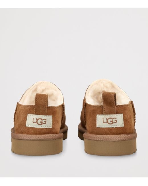 Ugg Brown Suede Classic Micro Boots for men