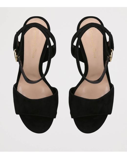 Gianvito Rossi Black Suede Ardéa Platform Sandals 70