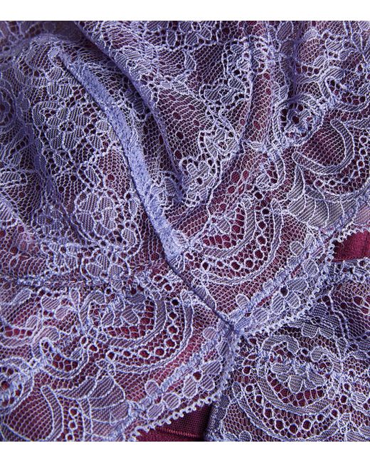 Dora Larsen Purple Lace Savannah Underwire Bra