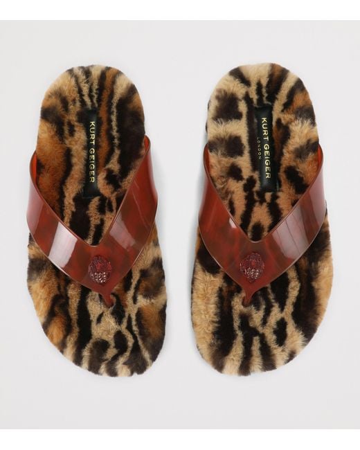 Kurt Geiger Brown Eagle Flip Flops