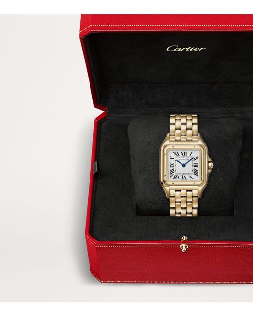 Cartier Metallic Panthère De Watch