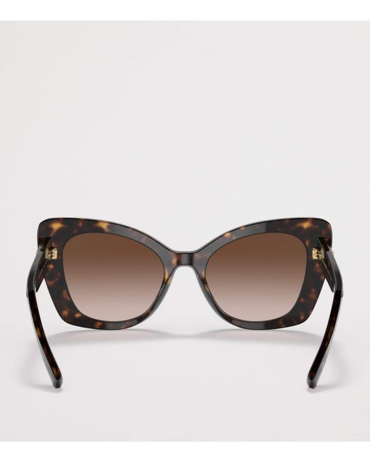 Dolce & Gabbana Brown Acetate Butterfly Sunglasses
