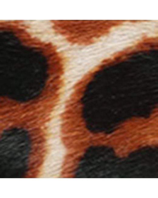 Kurt Geiger Brown Leopard Print Chelsea Slingback Pumps