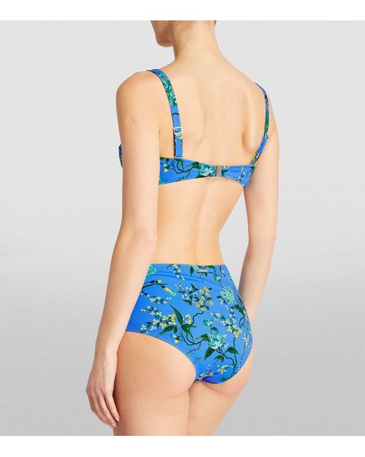 Erdem Blue Floral Bikini Top