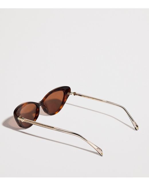 Maje Brown Acetate Cat Eye Sunglasses