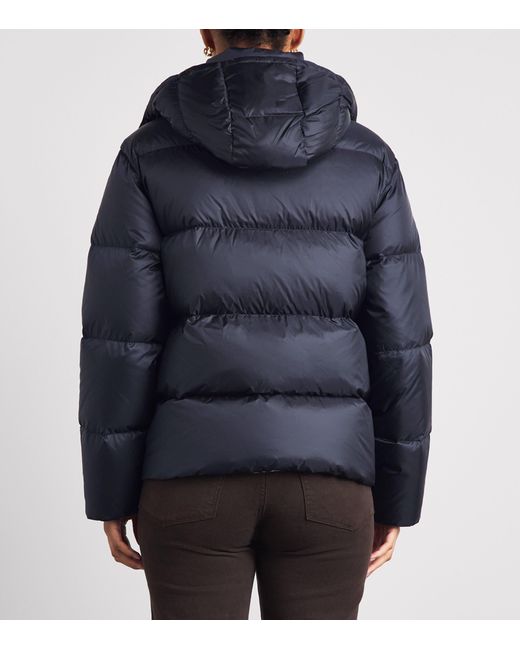 Polo Ralph Lauren Blue Padded Puffer Jacket for men