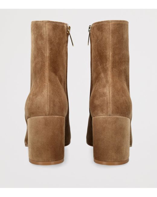 Gianvito Rossi Brown Suede Ankle Boots 70