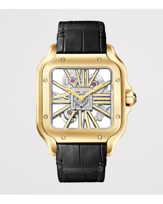 Cartier Metallic Large Santos De Skeleton Watch for men