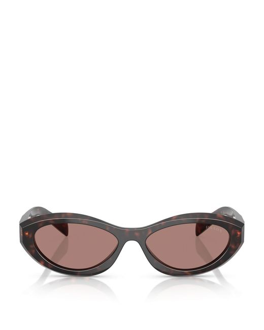 Prada Brown Acetate Pr26Zs Sunglasses