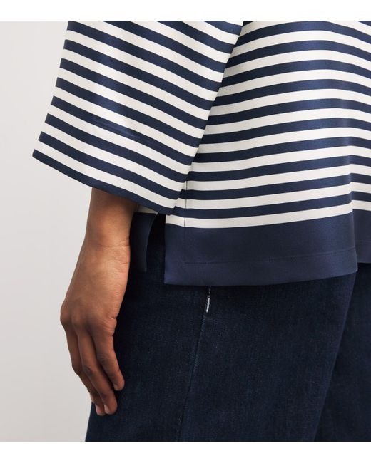 Max Mara Blue Silk Twill Stripe Shirt