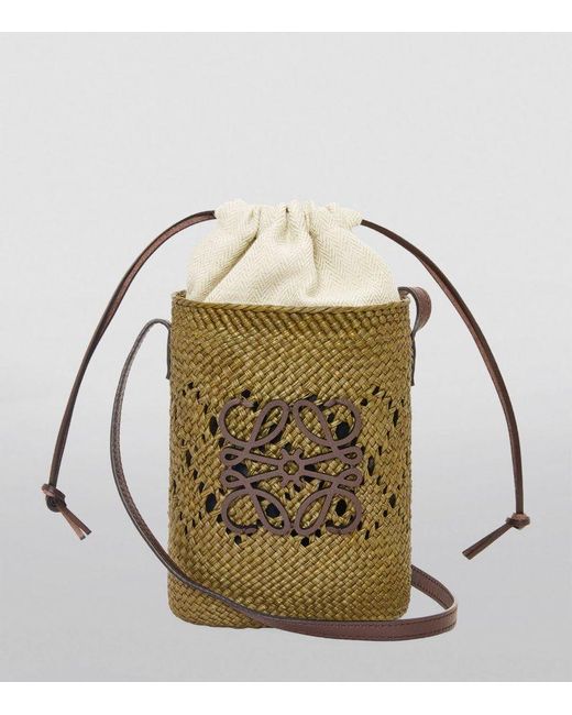 Loewe Metallic X Paula'S Ibiza Woven Anagram Square Pocket Bag