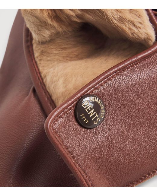 Dents Brown Leather Fur-Lined Lumley Gloves for men