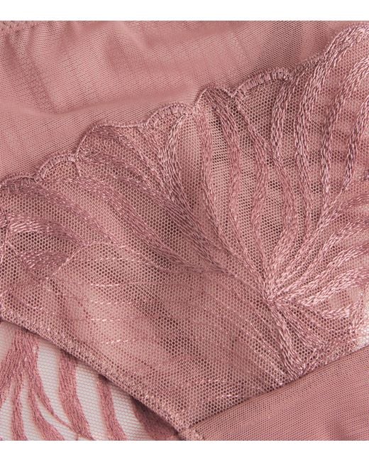 Chantelle Pink Lace Legend Tanga Briefs