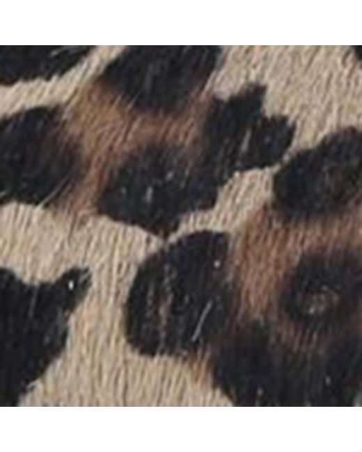 Golden Goose Deluxe Brand Brown Leather Leopard Print Superstar Sneakers